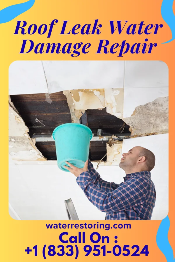 Roof Leak Water Damage Repair in Troy Hills, NJ