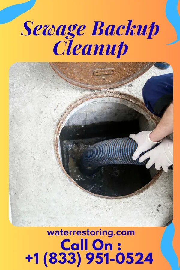 Sewage Backup Cleanup in Troy Hills, NJ